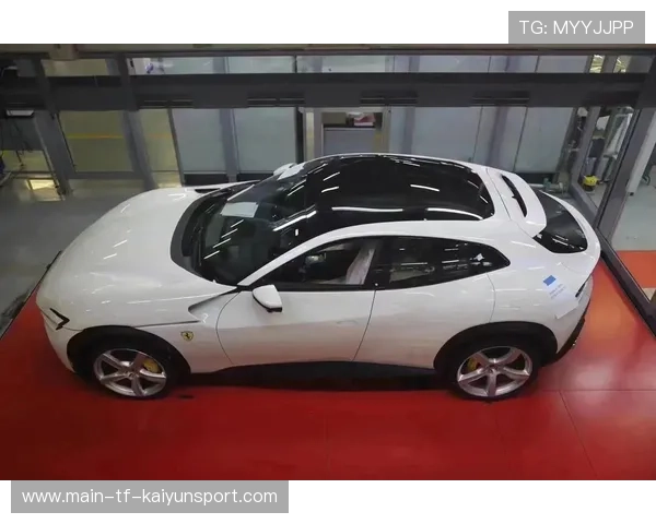 法拉利策略又让粉丝破防