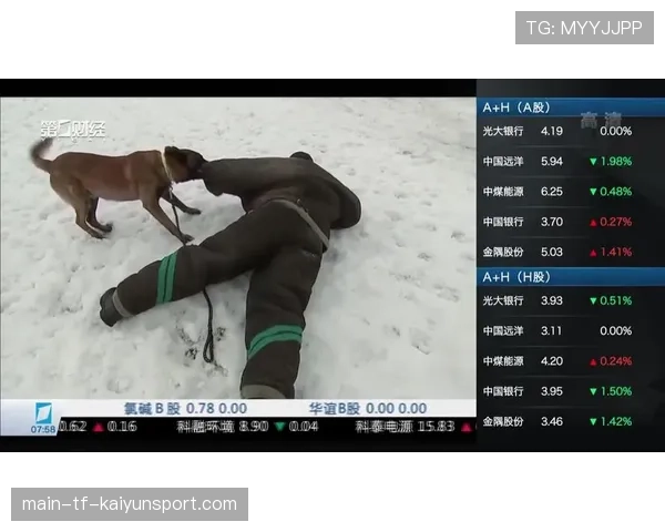 [选手名]的日常视频：带你看看顶级职业战队的训练室长啥样